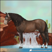 Horse Color:Gray Brown Pearl 