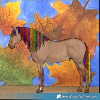 Horse Color:Painted Red Dun