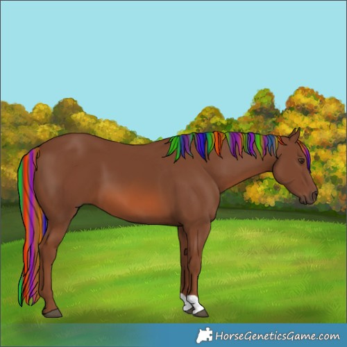 Horse Color:Painted Chestnut