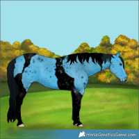 Horse Color:ERROR: UNKNOWN ANOMALY