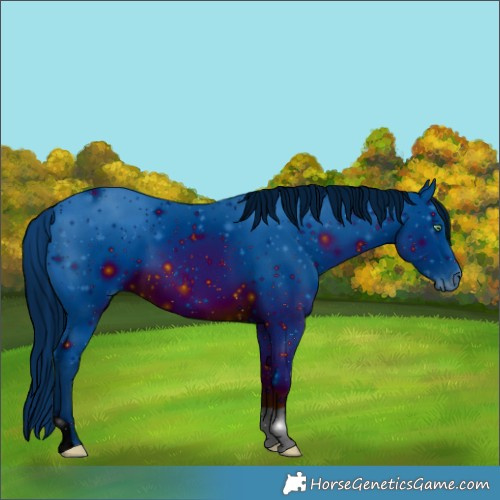 Horse Color:ERROR: UNKNOWN ANOMALY