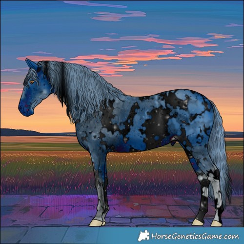 Horse Color:ERROR: UNKNOWN ANOMALY