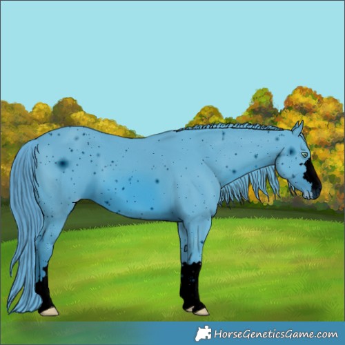 Horse Color:ERROR: UNKNOWN ANOMALY
