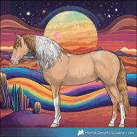 Horse Color:Gold Champagne Tobiano 