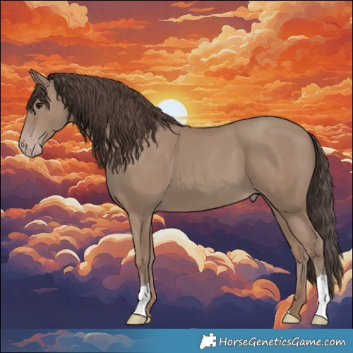 Horse Color:Classic Champagne 