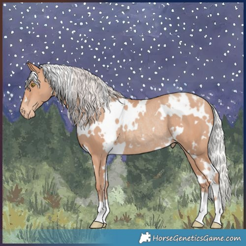 Horse Color:White Spotted Silver Sable Champagne Varnish Rabicano