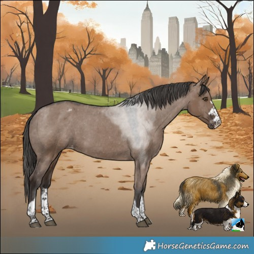 Horse Color:Liver Red Dun Varnish