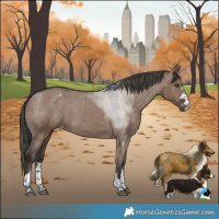 Horse Color:Liver Red Dun Varnish 