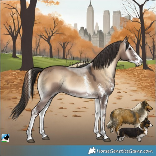 Horse Color:Liver Red Dun Onyx Sabino Rabicano