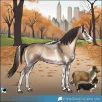 Horse Color:Liver Red Dun Onyx Sabino Rabicano 