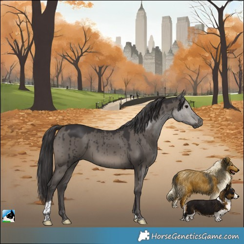 Horse Color:Smoky Grullo Tobiano Brindle 