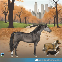 Horse Color:Smoky Grullo Tobiano Brindle