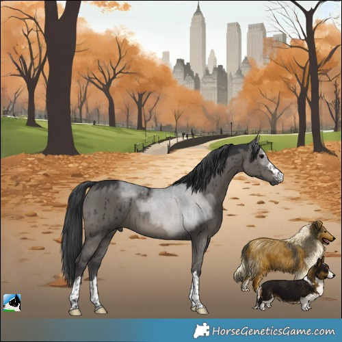 Horse Color:Grullo Brindle 