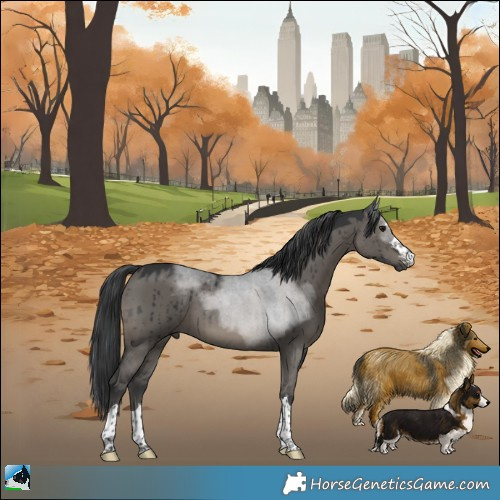 Horse Color:Grullo Brindle 