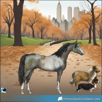 Horse Color:Grullo Brindle