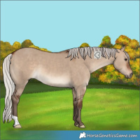 Horse Color:Silver Brown Dun 