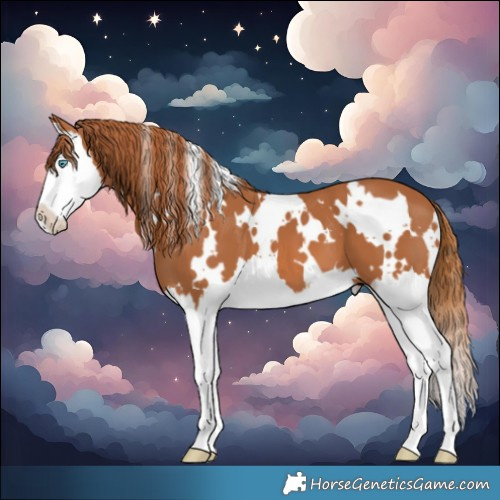 Horse Color:White Spotted Chestnut Splash 