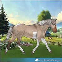 Horse Color:Silver Brown Dun Tobiano 