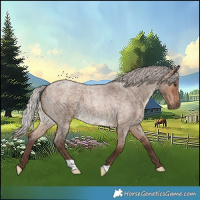 Horse Color:Silver Brown Roan Dun 