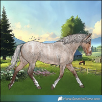 Horse Color:Powder White Silver Brown Roan Dun 