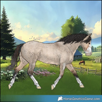 Horse Color:Bay Roan Dun Sabino