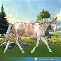 Horse Color:Powder White Silver Bay Dun Tobiano
