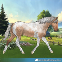 Horse Color:Silver Bay Dun Tobiano 