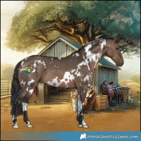 Horse Color:White Spotted Brown Dun 