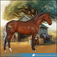 Horse Color:Silver Bay 