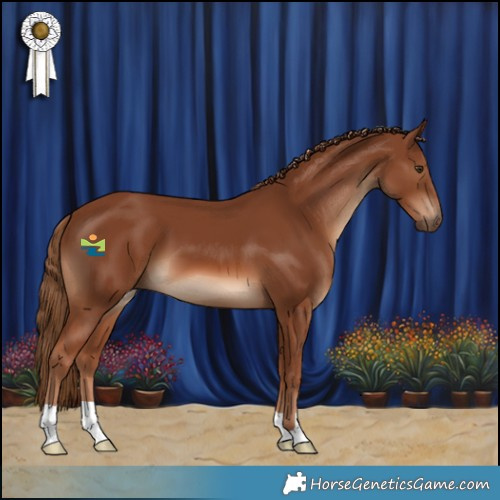Horse Color:Chestnut 
