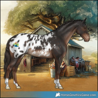 Horse Color:Liver Chestnut Blanket