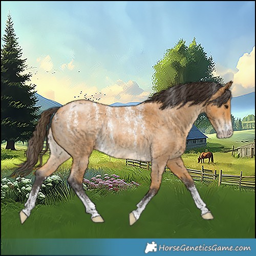 Horse Color:Powder White Buckskin Roan Rabicano