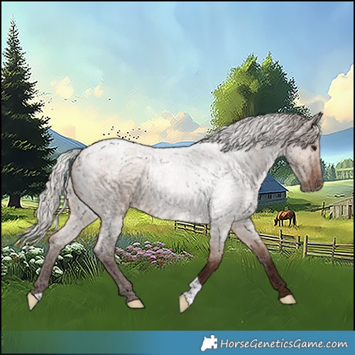 Horse Color:Silver Brown Roan Dun Rabicano 