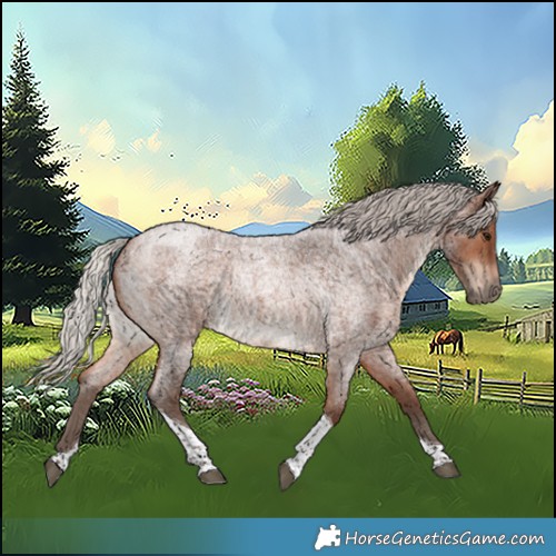Horse Color:Silver Brown Roan Tobiano 