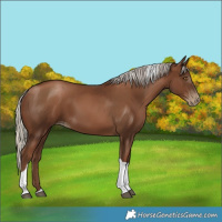 Horse Color:Gray Silver Black Pearl Tobiano