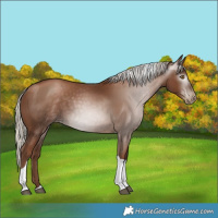 Horse Color:Gray Silver Black Pearl Tobiano 
