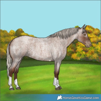 Horse Color:Gray Silver Blue Roan Pearl Tobiano 