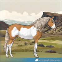 Horse Color:Palomino Splash Frame 