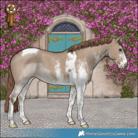 Horse Color:White Spotted Liver Red Dun Tobiano Rabicano