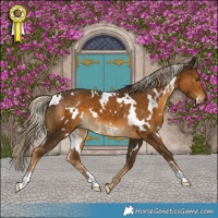 Horse Color:White Spotted Chocolate Palomino