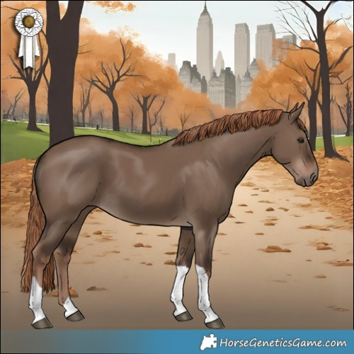 Horse Color:White Spotted Liver Red Dun Tobiano 