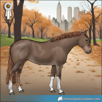 Horse Color:White Spotted Liver Red Dun Tobiano 