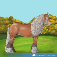Horse Color:Silver Bay 