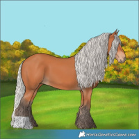 Horse Color:Silver Bay 