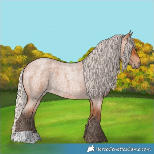 Horse Color:Silver Bay Roan