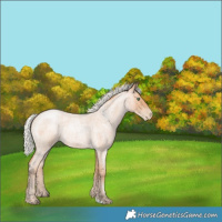 Horse Color:Silver Bay Roan Pearl Mushroom