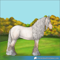 Horse Color:Silver Bay Roan Pearl Mushroom
