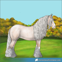 Horse Color:Silver Bay Roan Pearl Mushroom Splash 