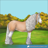 Horse Color:Silver Bay Pearl Splash