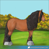Horse Color:Bay 